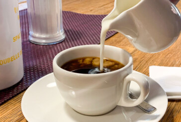 Digitaler Kaffeeklatsch: Die Rintelner Silvesterinitiative stellt sich vor