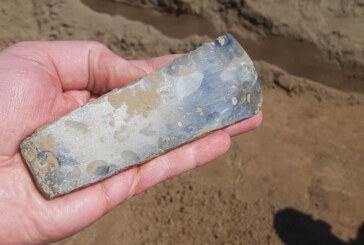 Gruß aus der Steinzeit: 4500 Jahre altes Feuersteinbeil im Rintelner Industriegebiet gefunden