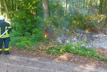 Feuerwehr löscht Brand im Wald bei Steinbergen
