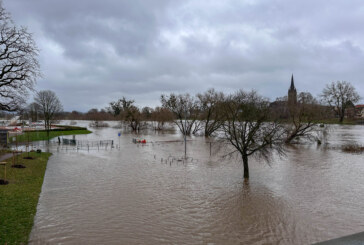 Es steigt und steigt: Weserhochwasser in Rinteln könnte laut Vorhersage die 6,60 Meter Marke erreichen