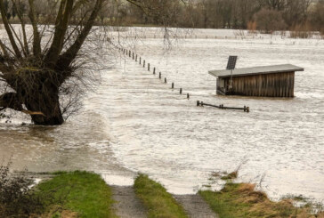 NABU Rinteln: „Die Weser benötigt mehr Raum für Starkregenereignisse“
